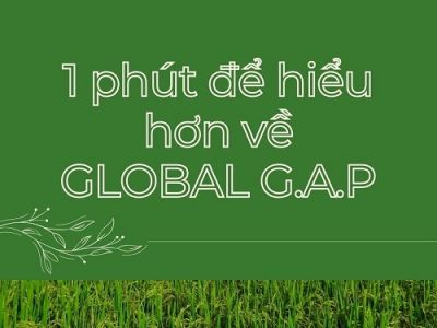GlobalGAP là gì?